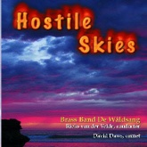 HOSTILE SKIES - Parts & Score