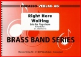 RIGHT HERE WAITING FOR YOU - Flugel Solo & Band - Parts & Sc